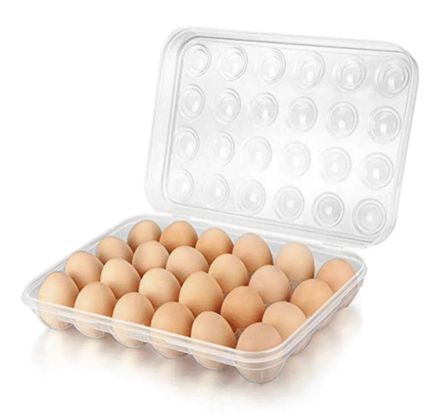 Plastic Egg Holder- 24s