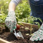 GARDEN GLOVES