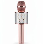 PORTABLE MICROPHONE WIRELESS SPEAKER - Image 6