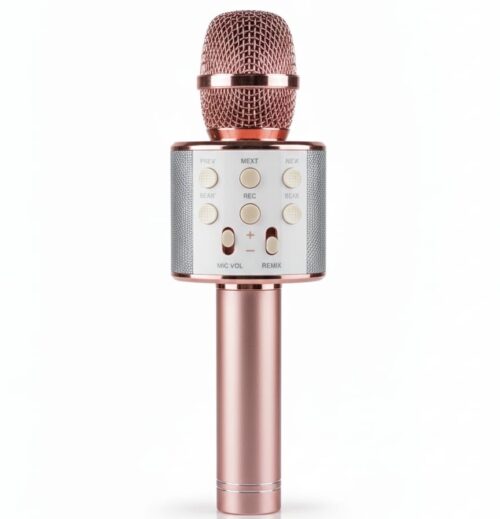 PORTABLE MICROPHONE WIRELESS SPEAKER - Image 6