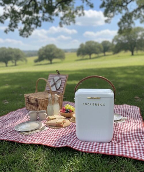 10L Cooler Box - Image 3