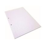 A4 EXAMINATION PAD - 100 SHEETS