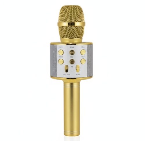 PORTABLE MICROPHONE WIRELESS SPEAKER - Image 3