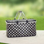 FOLDING PICNIC COOLER BAG W/HANDLE