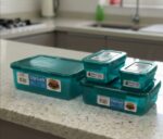 Plastic 4 pc Clip Lock Set Ch