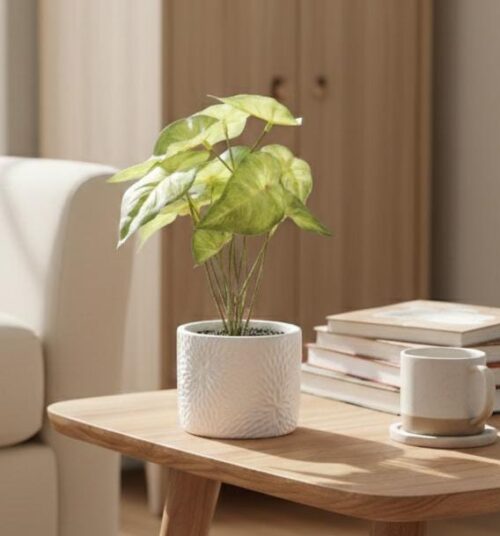 DECOR ARTIFICIAL ARROWHEAD PLANT W/TEXTURED POT - Image 1