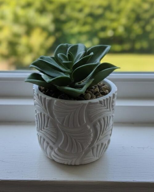 SUCCULENT ARTIFICIAL PLANT W/EMBOSSED POT - Image 1