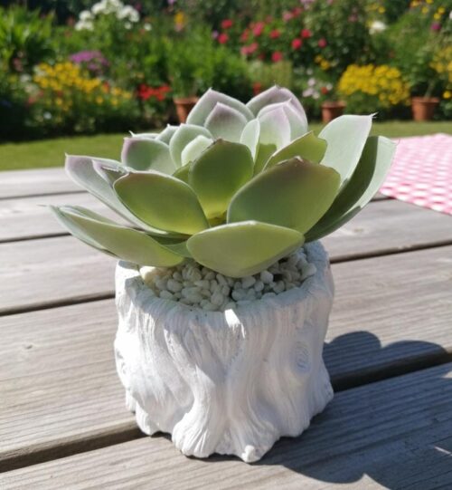 SUCCULENT ARTIFICIAL GREEN FLOWER W/LOG POT - WHITE - Image 2