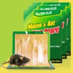 MOUSE AND RAT - GREEN TRAP