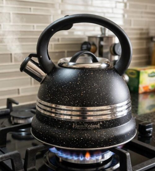 HAUSROLAND STOVE TOP KETTLE - 3L