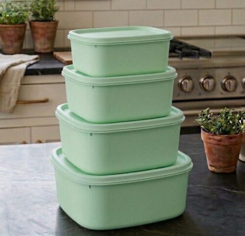 RAINBOW PLASTIC CONTAINER - 4PC