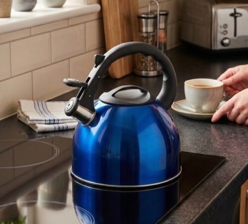 CONDERE HOME 3L WHISTLE KETTLE - BLUE
