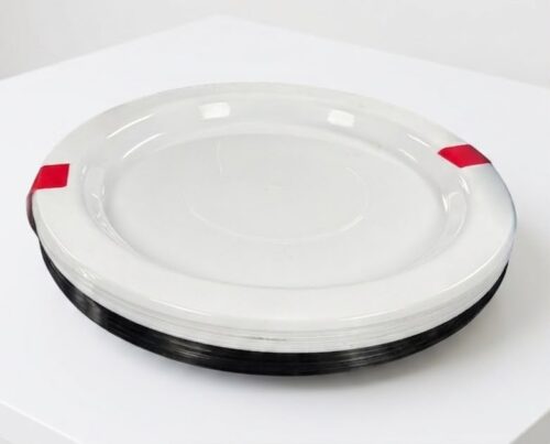 PLASTIC TAKEAWAY PLATES - 20PCS - Image 1